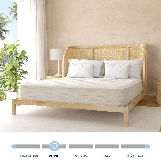 01 Ethos Cove Plush.jpg