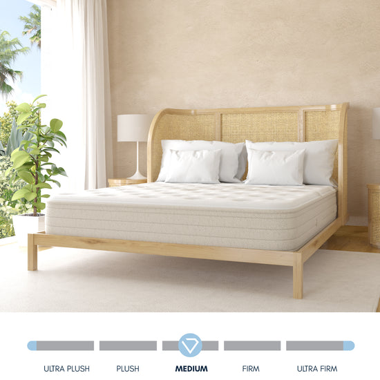 02 Ethos Cove Medium.jpg