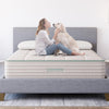 Sage Organic Hybrid - Diamond Mattress Store